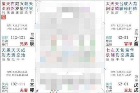 紫微斗数疾厄宫地空