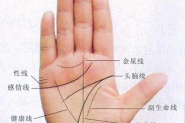 如何通过自己的胎记算命看自己的一生-