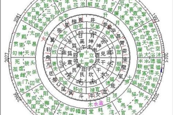 紫薇斗数贵子