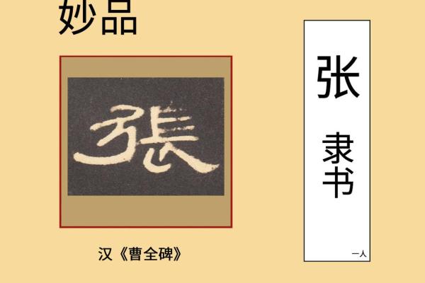 张的八字