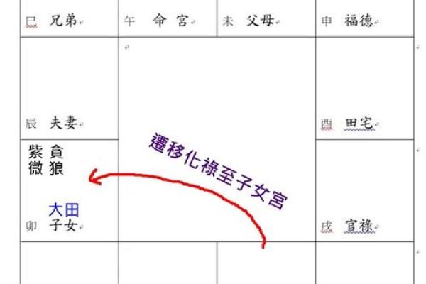 紫薇斗数看子女长相