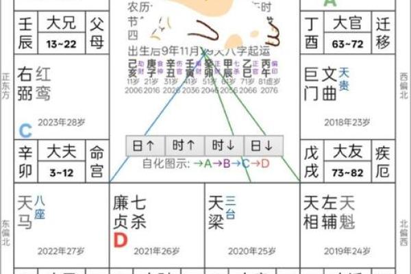 紫薇斗数定盘软件