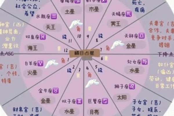 紫薇星盘命主破军