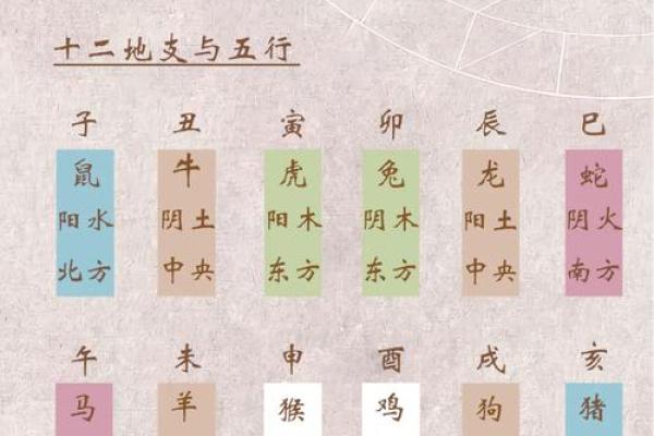 五行查询生辰八字查五行