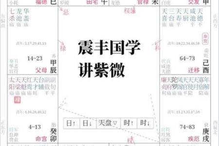紫薇斗数贵子