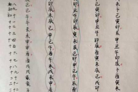 紫薇斗数书入门