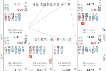 紫薇斗数大限武曲