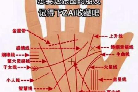 男人九种手相算命图解