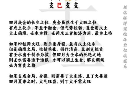 八字通根是什么意思 八字通根是啥意思