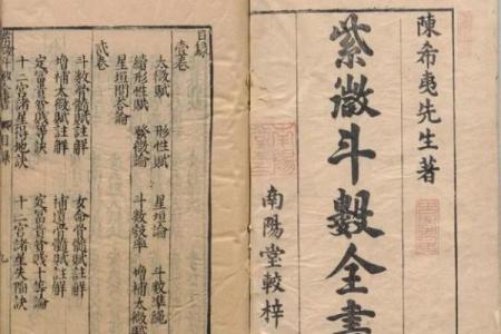 紫薇斗数分析推演概论