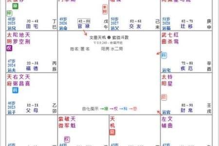 紫薇斗数看子女长相