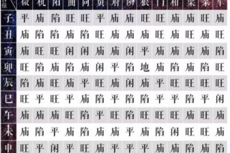 暗曜紫薇斗数
