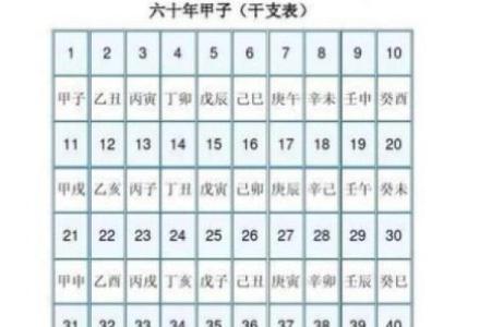 八字寅数字是几