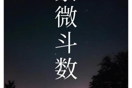紫薇你斗数吧