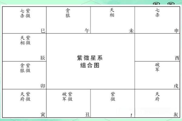 紫薇斗数空白