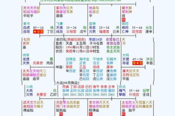 什么紫薇斗数的人适合去大城市发展