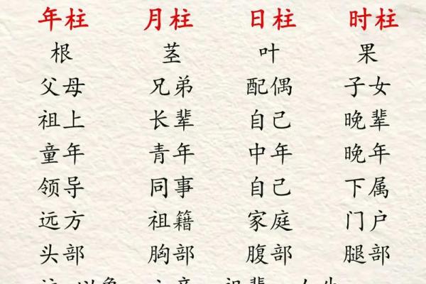 辰时八字