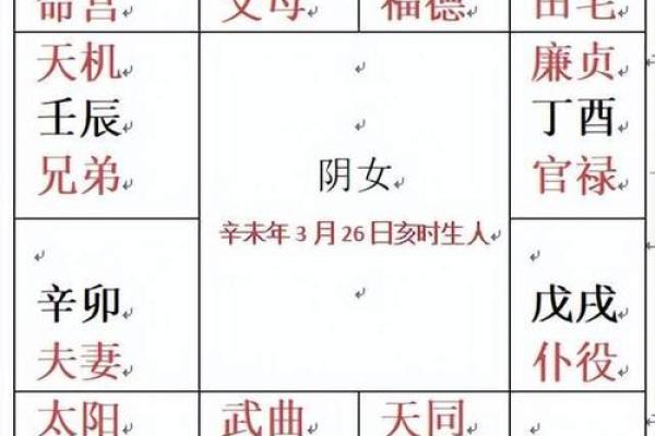崇祯紫薇斗数