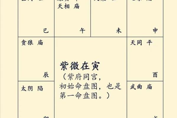 紫薇斗数里的宫干是什么意思 紫薇斗数里的宫干是什么意思