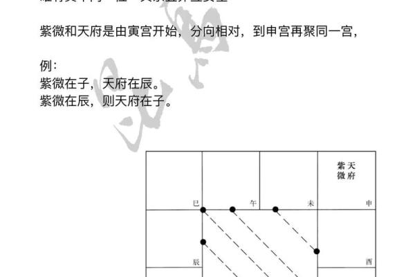 斗数杂谈】中州派十二宫定义 紫微斗数的星盘共分十二宫