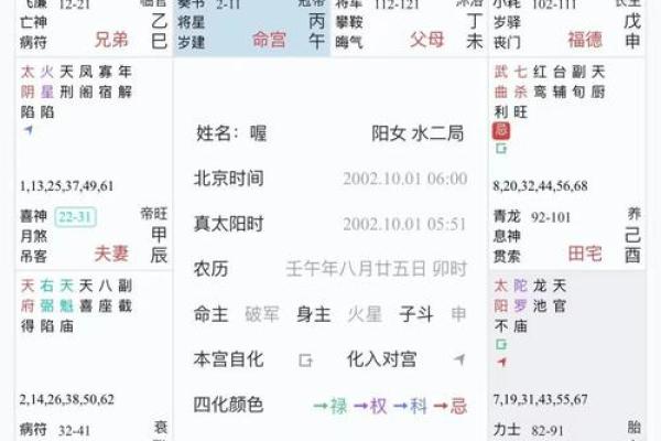 雪天紫薇斗数排盘软件