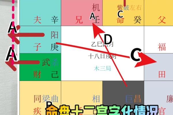 雪天紫薇斗数排盘软件