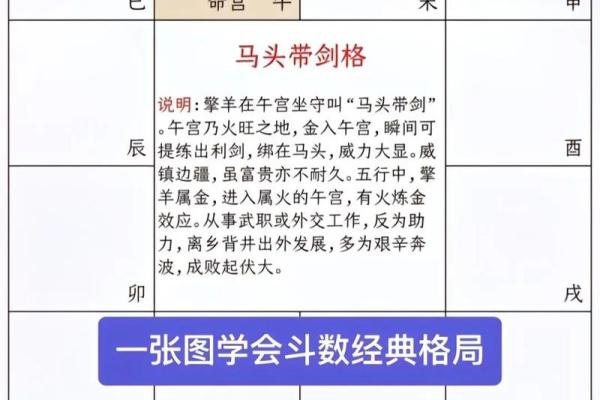 张三星紫微斗数 张三星政委？