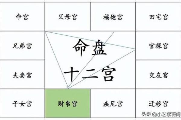 紫薇斗数偏财运好