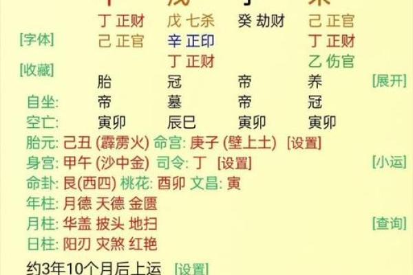 八字有丁未