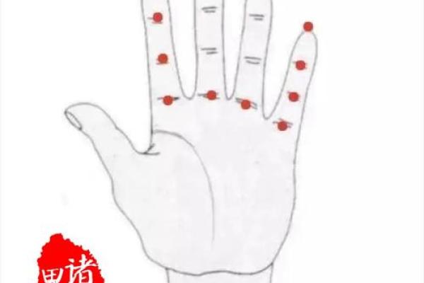 紫薇斗数掌中决