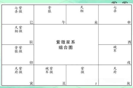 紫薇斗数空白