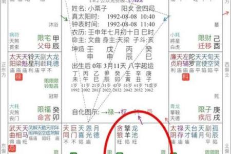 流年考运紫薇斗数