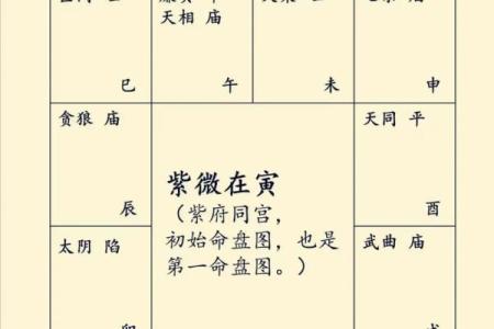 紫薇斗数里的宫干是什么意思