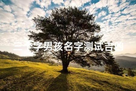 梓小孩的名字测试打分