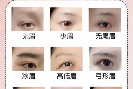 面相图解-弓丧眉算命及性格特征