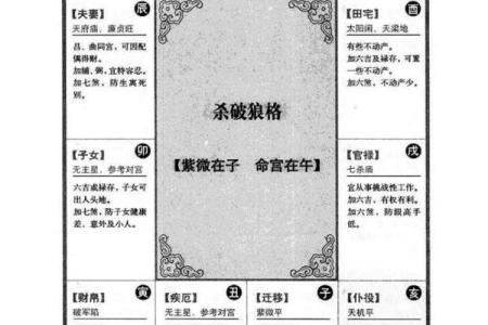 紫薇斗数和周易