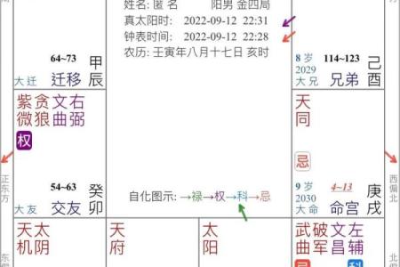 紫薇斗数第三者