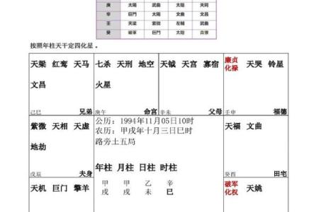 紫薇斗数星盘分析