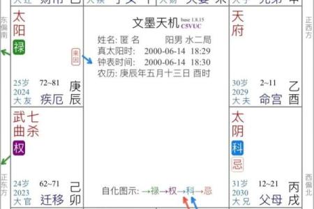 皮肤白紫薇斗数