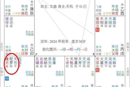 紫微斗数流年疾厄宫化科