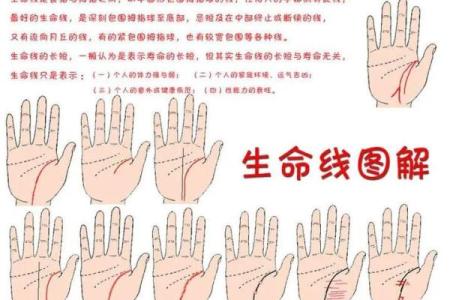 五角星手纹算命图解 五角星手纹手相