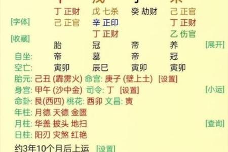 八字有丁未