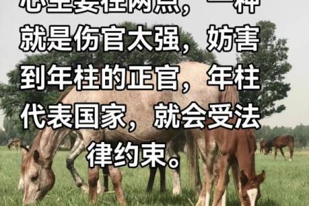 八字中伤官见官真的一定为祸百端吗？