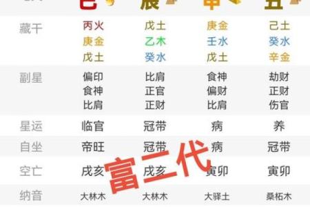 紫微斗数看财力靠自己还是靠别人技法#财富