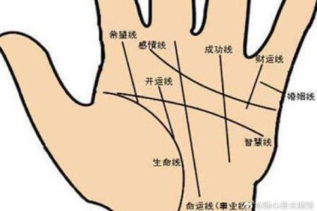 手相算命，对着内容看你的手相