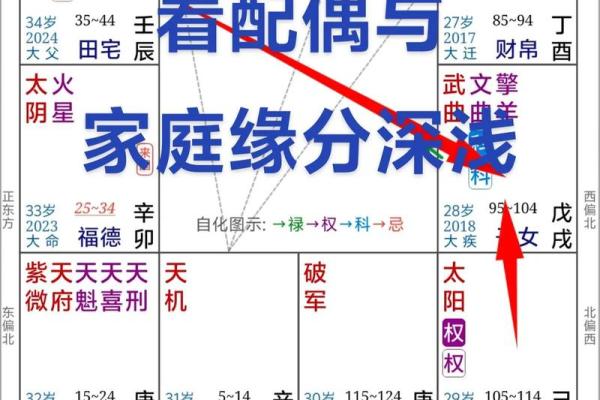 紫薇斗数怎么看有没有小孩
