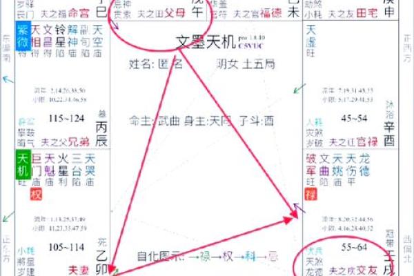 紫微财运曲线 紫微斗数测财运神巴巴？
