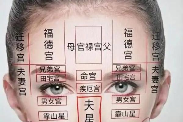 八字眉的女人命好不好风水解读