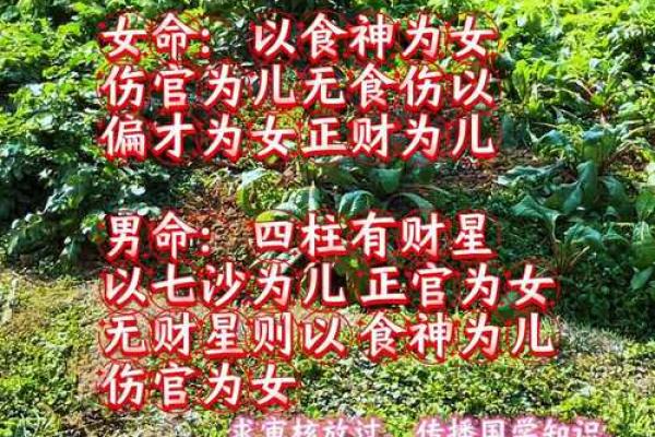 女命八字年柱偏财坐伤官
