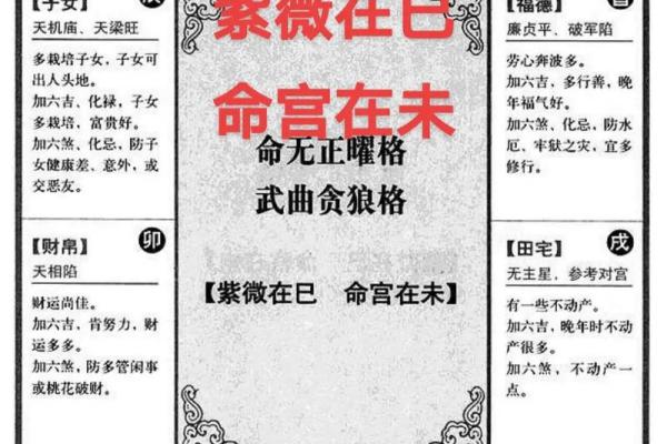紫薇斗数紫薇落疾厄宫